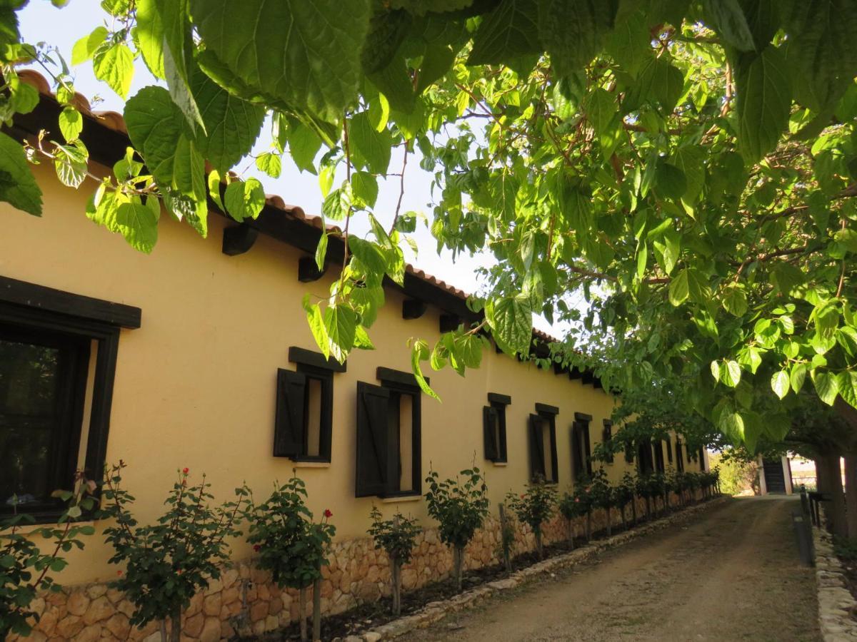 Hotel Enoturismo Mainetes Fuente-Álamo Εξωτερικό φωτογραφία