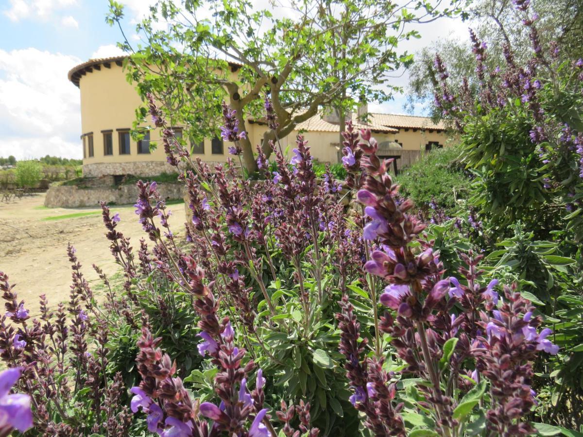 Hotel Enoturismo Mainetes Fuente-Álamo Εξωτερικό φωτογραφία