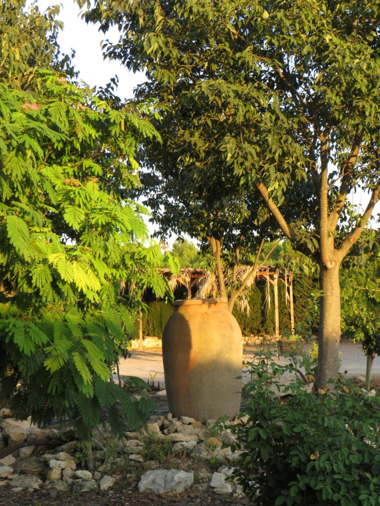 Hotel Enoturismo Mainetes Fuente-Álamo Εξωτερικό φωτογραφία