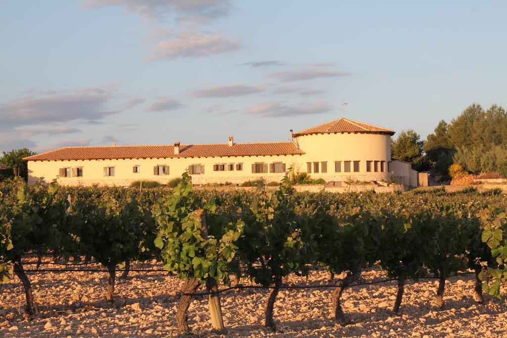 Hotel Enoturismo Mainetes Fuente-Álamo Εξωτερικό φωτογραφία